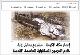مصغرات