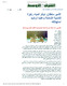 مصغرات