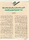مصغرات