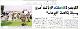 مصغرات